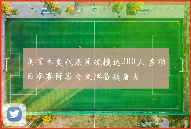 美国冬奥代表团规模达300人 多项目参赛阵容与奖牌备战看点
