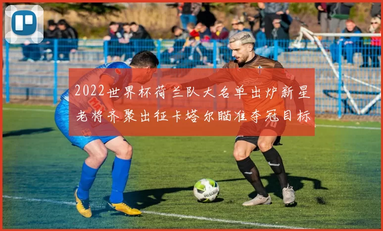 2022世界杯荷兰队大名单出炉新星老将齐聚出征卡塔尔瞄准夺冠目标