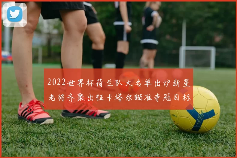 2022世界杯荷兰队大名单出炉新星老将齐聚出征卡塔尔瞄准夺冠目标